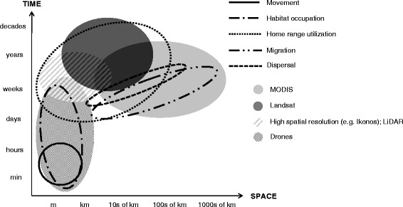 article on the opportunities of remote sensing in animal movement