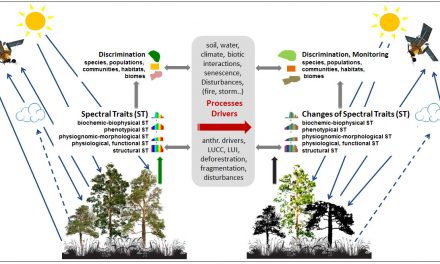 Linking Earth Observation and taxonomic, structural and functional biodiversity: Local to ecosystem perspectives
