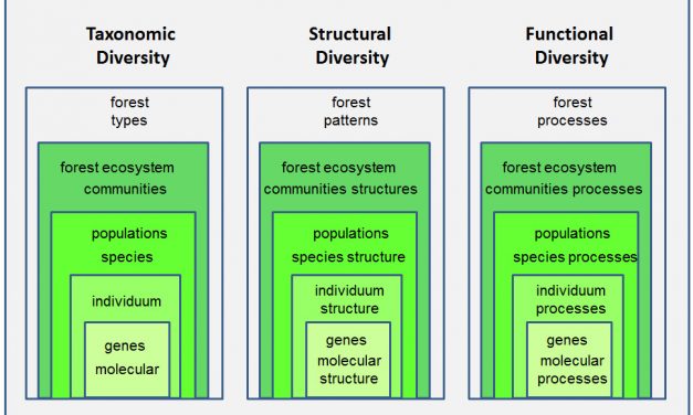 Understanding Forest Health with Remote Sensing -Part I – A Review of Spectral Traits, Processes and Remote-Sensing Characteristics.
