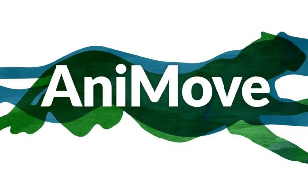 Summer School on Animal Movement and Remote Sensing 2018