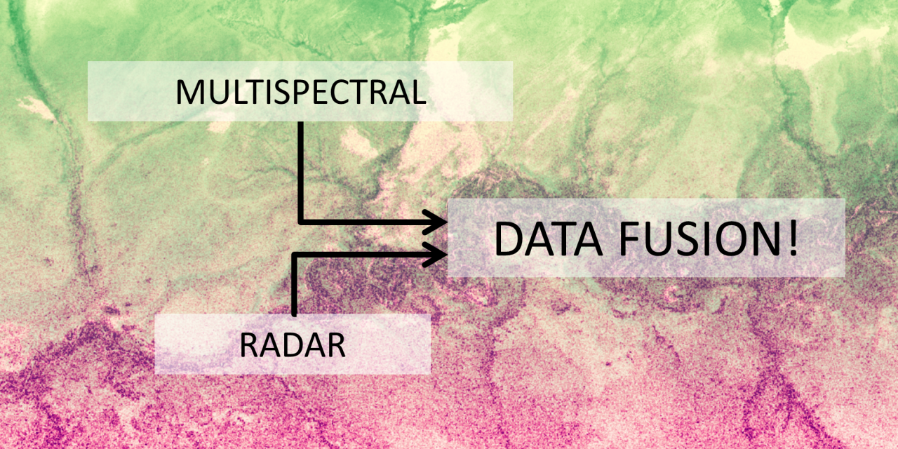 Satellite data fusion for ecology & conservation science