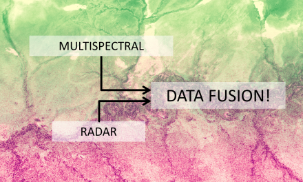 Satellite data fusion for ecology & conservation science