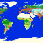 A global map of terrestrial habitat types