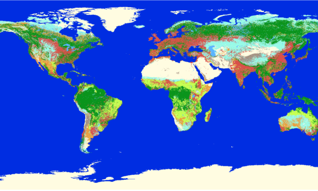 A global map of terrestrial habitat types